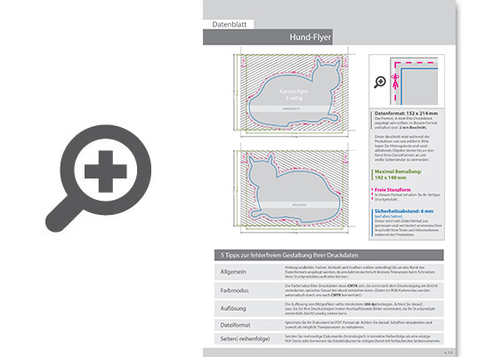 Product Bild katze-flyer